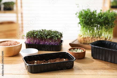Container with seeds in soil and fresh microgreens on wooden table, closeup