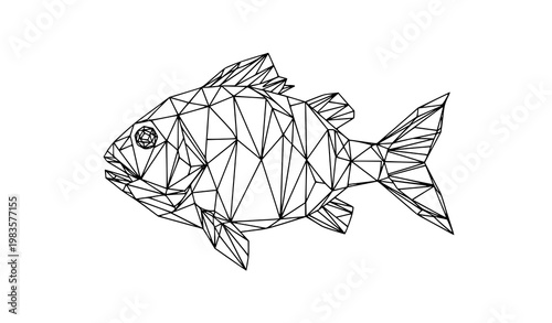 Abstract Geometric Fish Line Art Outline Vector