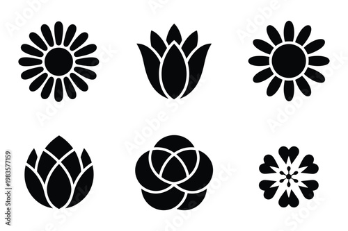 Set of six stylized floral icons with botanical stylized silhouette abstract