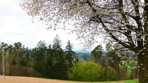 Biodiversität in der Buckligen Welt

