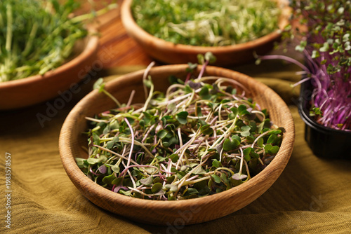 Different types of microgreens on wooden table, closeup
