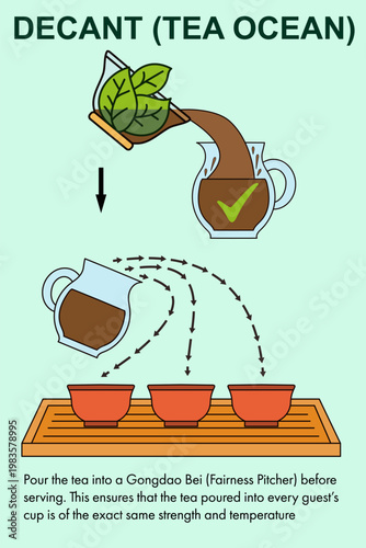 Illustrated gongfu tea decanting process using gongdaobei fairness pitcher for even serving. Traditional chinese tea ceremony guide ensuring equal strength and temperature in every cup