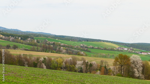 Naturparadies Bucklige Welt

