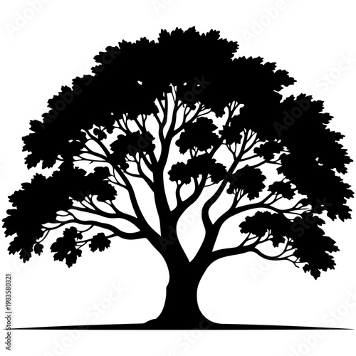 Majestic silhouette of an ancient tree standing tall against a plain background