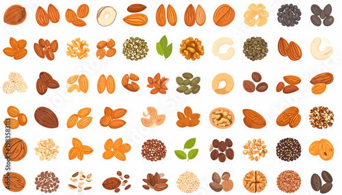 Variety of different nuts displayed.