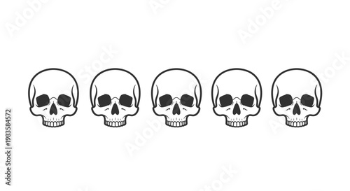 Five identical human skulls are meticulously arranged in a perfectly straight horizontal line across a clean and minimalist white background space today.
