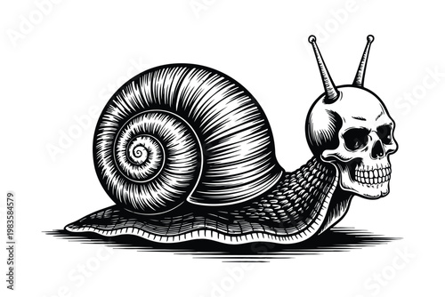 Black and white of a snail with a human skull as its head ink detailed creepy