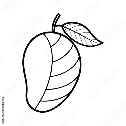 Vector leaf, illustration, line art, black and white, botanical, plant, single leaf