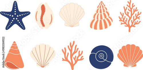 Sea shells and coral set vector illustration marine ocean elements starfish conch collection beach design elements