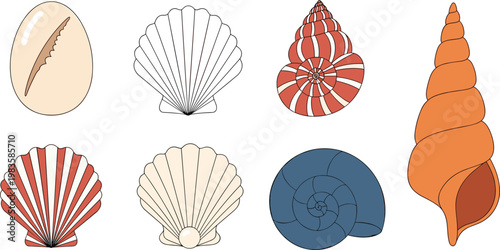 Sea shells set vector illustration marine ocean elements conch scallop collection beach decorative design elements