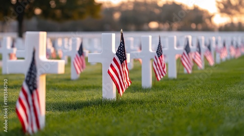 Many White Crosses Are Placed at the Cemetery With Flags on a Sunny Day in th...