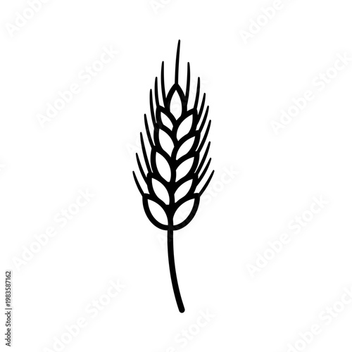 Minimalist Wheat Ear Stalk Line Art Icon on White Background