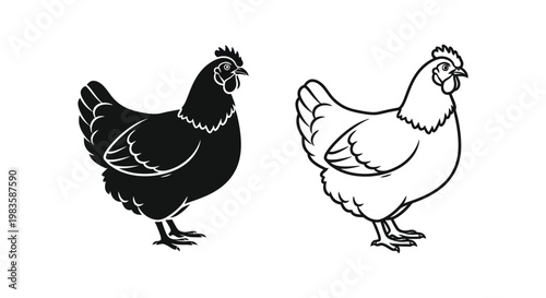 Chickens Illustration: Black and White Hen Designs Vector