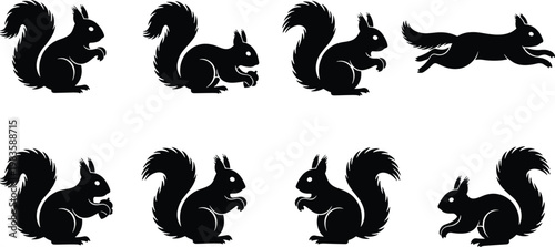 Vector illustration of squirrel silhouettes in dynamic poses showing sitting, crouching, and leaping movements for design and animation
