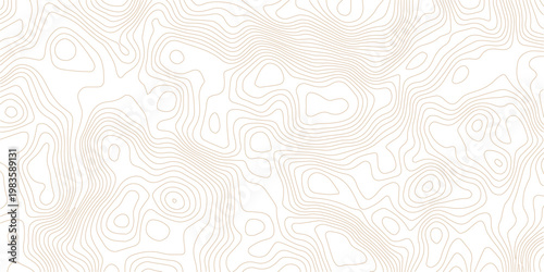 Abstract paper seamless pattern topography map counter map.Geographic line map with elevation assignments. Contour background geographic grid. Vector illustration.