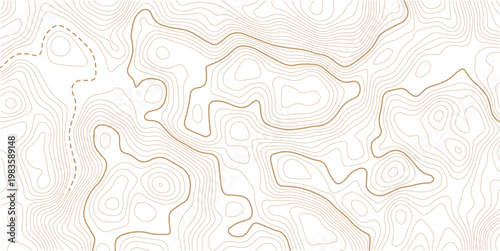 Abstract paper seamless pattern topography map counter map.Geographic line map with elevation assignments. Contour background geographic grid. Vector illustration.