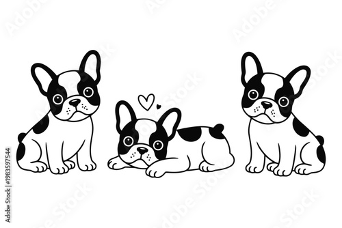 Four black and white french bulldogs in various poses, including sitting and lying down
