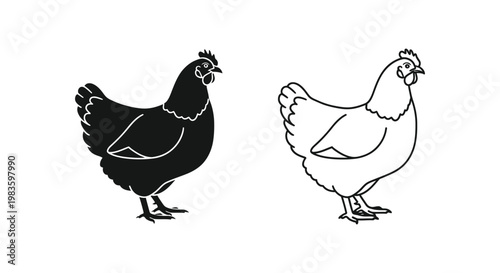 Black and White Rooster Chickens Illustration Design Vector