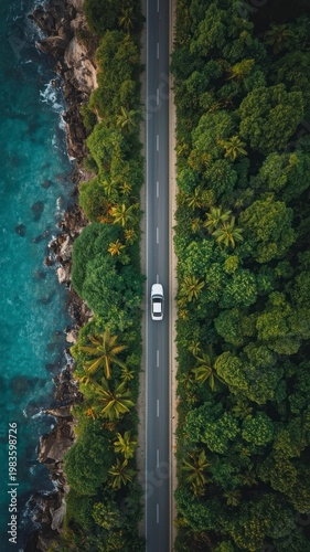 Aerial Top View of White Car Driving on Tropical Coastal Road Through Lush Forest