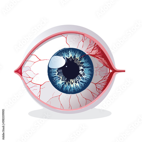 Human eye anatomy side view medical vector illustration