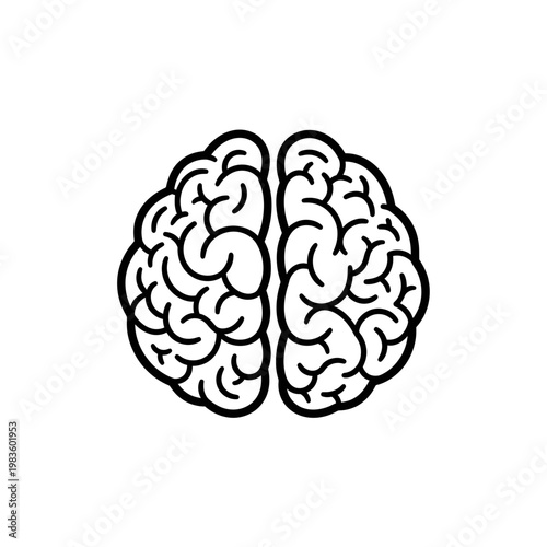Human brain line art icon showing left and right hemispheres