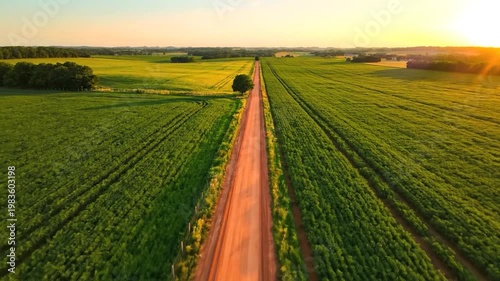 Wallpaper Mural Aerial view of rural dirt road. Torontodigital.ca
