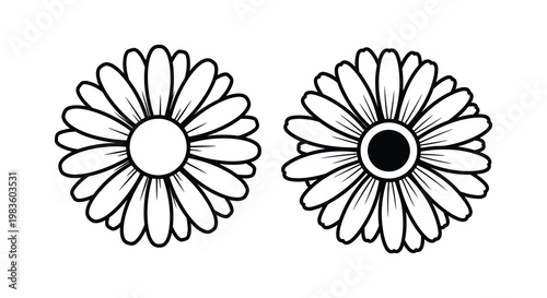 Two daisy flower heads presented in a dark outline silhouette