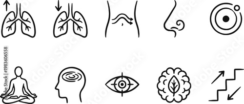 Breathing exercises and their effects on body and mind