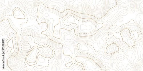 Light topographic topo contour map background. Geographic abstract grid. vector illustration . Topography and geography map grid abstract backdrop. Business concept. Vector illustration
