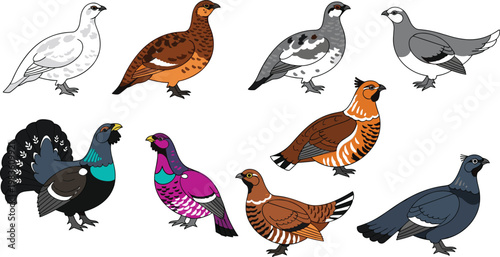 Grouse species and game birds wildlife flat icon set