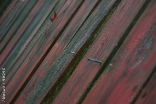 Canvas Print A rustic, weathered backyard scene featuring a worn red wooden fence showing clear signs of age and neglect