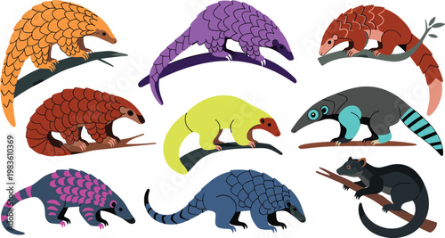 Rare birds and unique avian species wildlife flat icon set