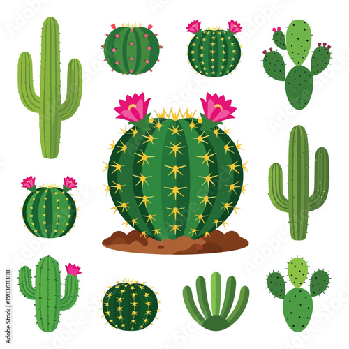 Cactus vector illustration set of desert cactus plants and vegetable icons in cartoon style isolated collection for nature garden summer flora healthy fresh food concept