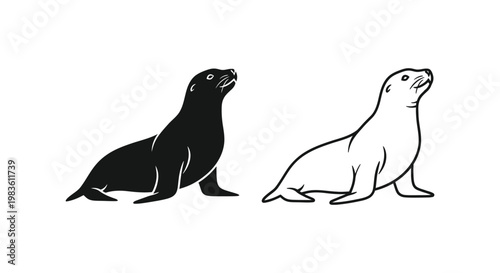 Sea Lion vs Sealion Comparison Guide Vector