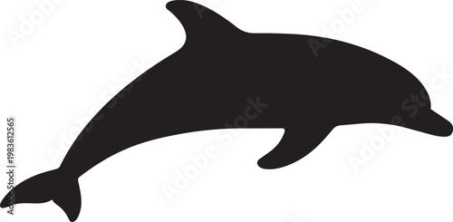 Graceful silhouette of a dolphin leaping through the water