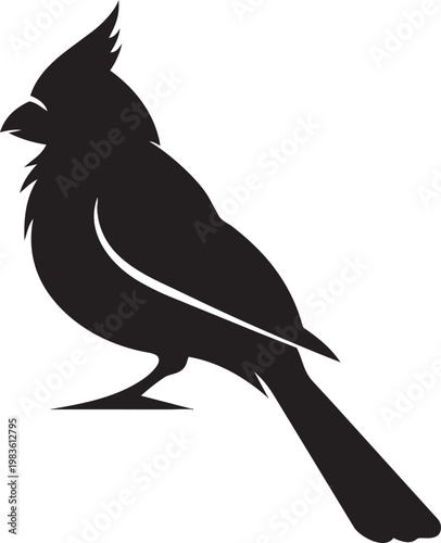 Graceful silhouette of a cardinal bird perched delicately on a branch
