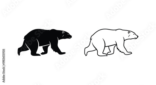 Polar Bear vs Black Bear Comparison Guide Vector