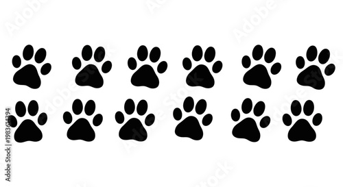 Adorable graphic illustration featuring multiple dark black paw prints, meticulously arranged in parallel rows against a pristine white backdrop