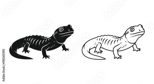 Cute Cartoon Lizards Design Vector Illustration Vector