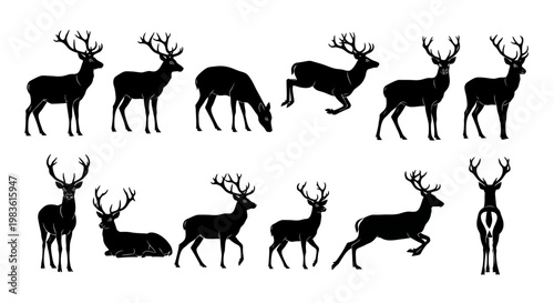Black deer silhouette collection, set of 12 wild stag and buck icons, forest animal vector graphics for hunting and nature design