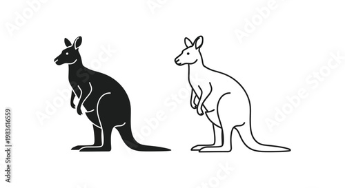 Kangaroo Illustration: Unique Animal Vector Designs Vector