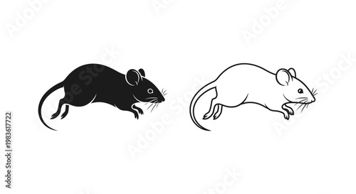 Laboratory Mice Comparison: Black vs White Rodents Vector