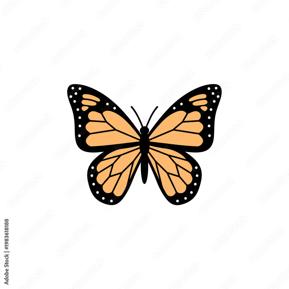 Fototapeta premium Monarch Butterfly Vector Illustration Isolated on White Background