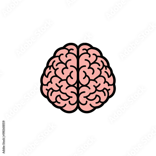 Human brain vector illustration isolated on white