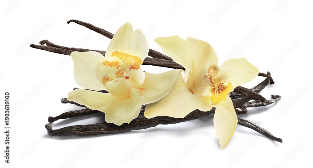 Fototapeta premium Vanilla pods and orchids isolated on white
