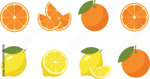 Orange and Lemon Citrus Fruit Collection with Whole Fruits and Sliced Segments Fresh Juicy Healthy Food Flat Vector Illustration Set