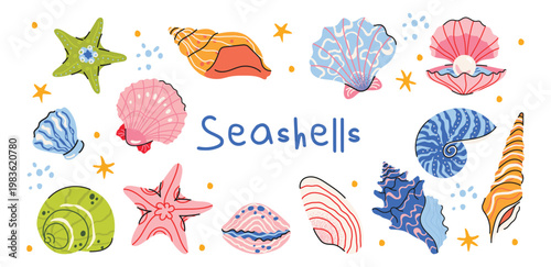 Trendy sea shells vector set with starfish, shells, and ocean elements in bright summer colors. Hand drawn coastal collection perfect for stickers, prints, packaging and seasonal projects
