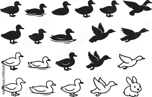 Cute Duck Silhouettes and Outline Illustrations in Various Poses, Vector Art