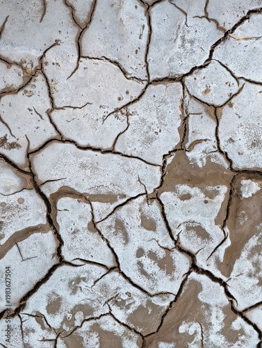 Foto Dry cracked earth surface with salt crust deposits in desert