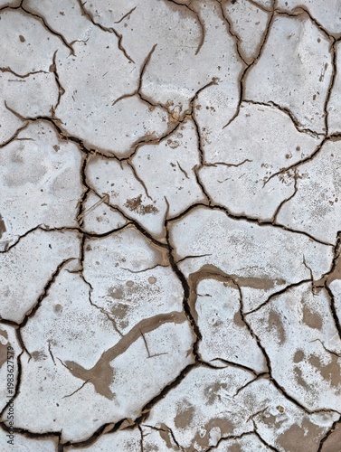 Bilde på lerret Dry cracked earth surface with salt crust deposits in desert